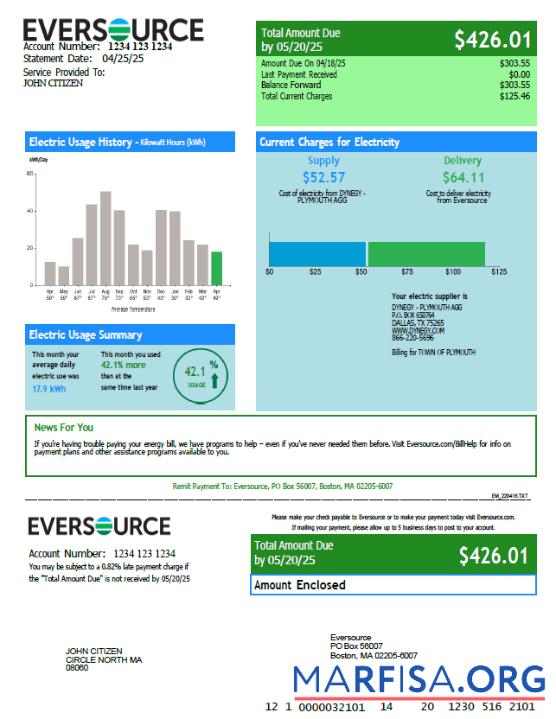 Blank USA Eversource utility bill template in Word and PDF formats
